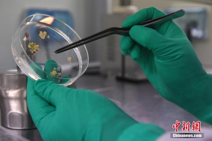 五部门:开展减轻青年科研人员负担专项行动
