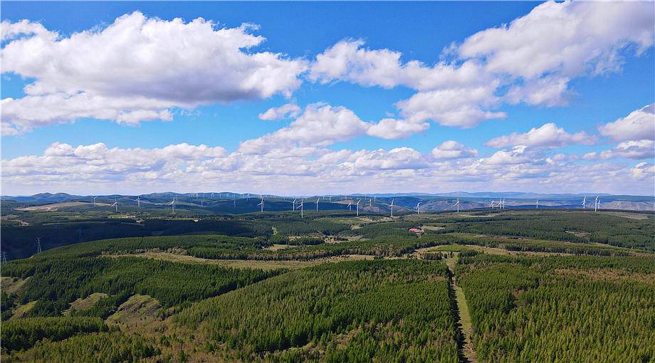 这是塞罕坝机械林场美景.(资料片) 新华社记者金皓原摄