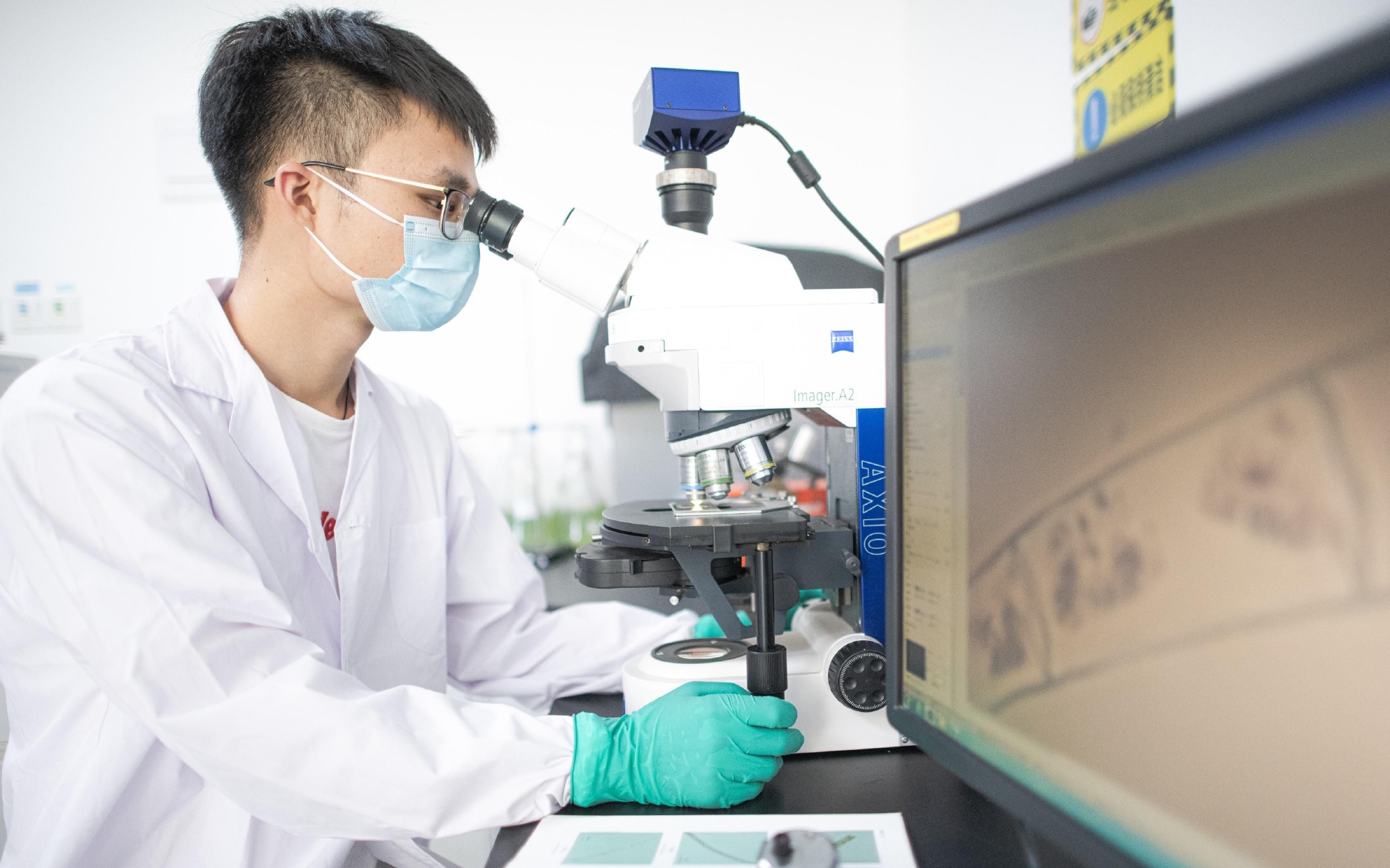 青年科研人员在实验室工作.资料图.图/新华社