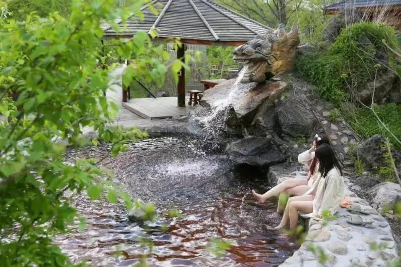 ������������ɭ����̬С��