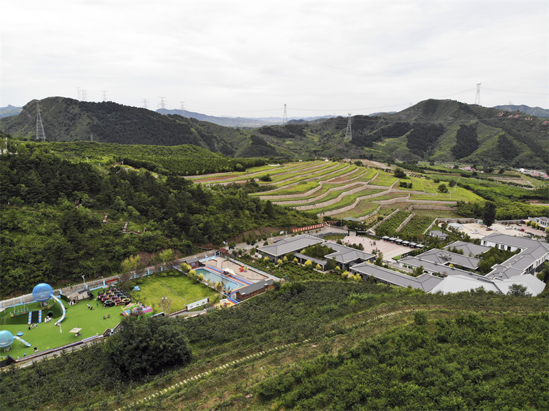 这是8月8日拍摄的滦平县热河中药花海小镇景色(无人机照片).