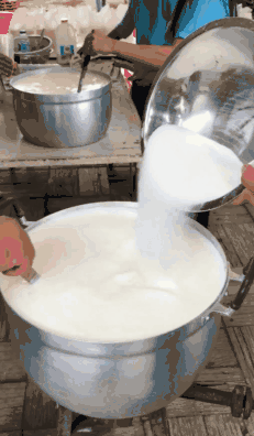 △来源：B站@六六吃喝玩乐在清迈