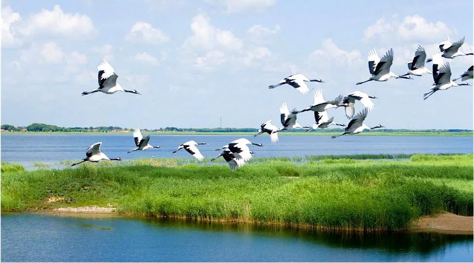 ������̬������