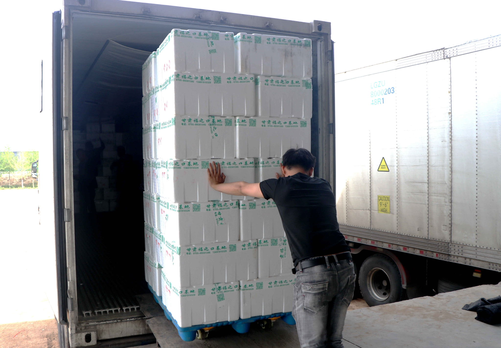 马爱彬摄"建立高效快捷的农产品冷链物流,扩大农产品外销半径,提高