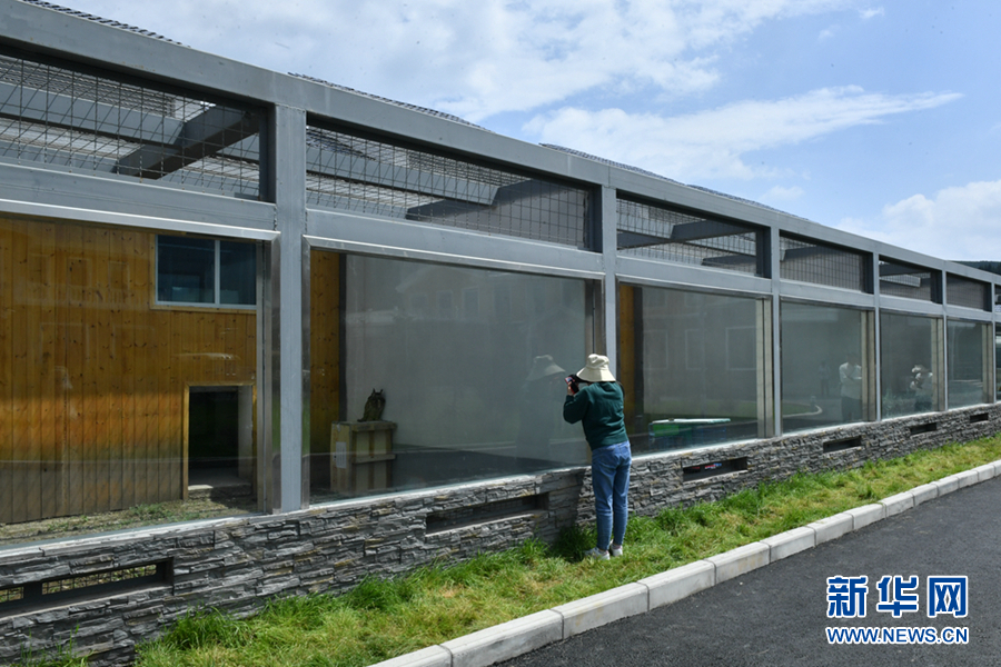 在这个公园有一所野生动物救护繁育中心