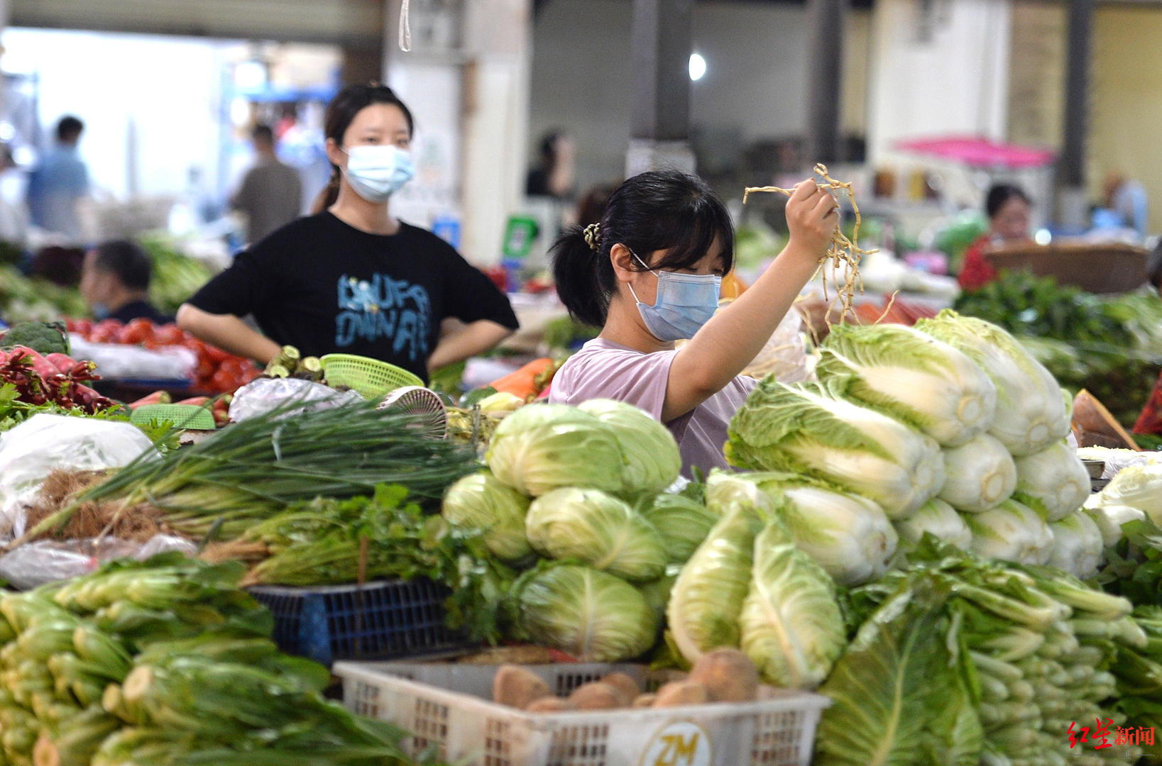 成华区,利华农贸市场商贩正在整理蔬菜 摄影记者 王效&nbsp