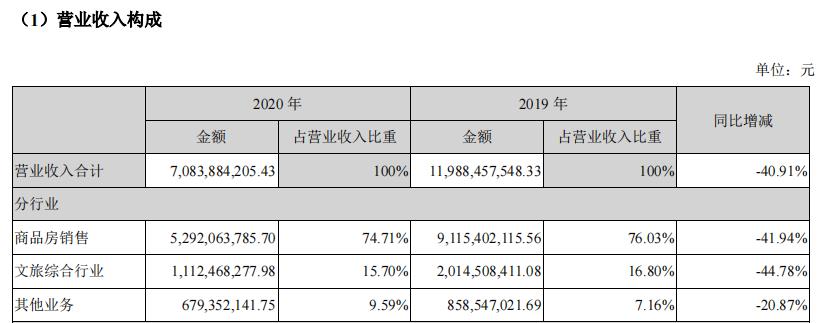 　　图源：新华联2020年报