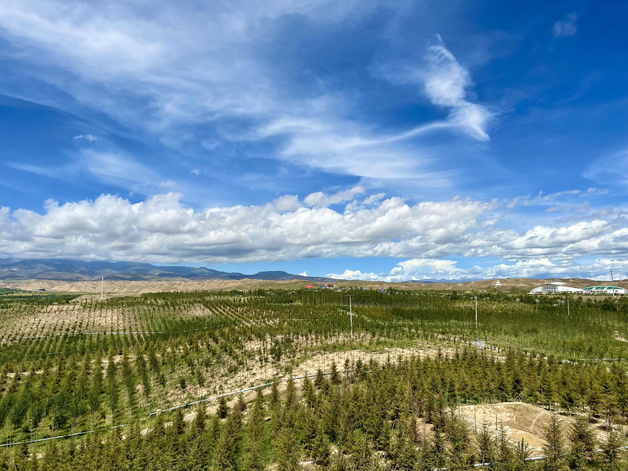 共和县高端网站建设_(共和县高端网站建设方案)