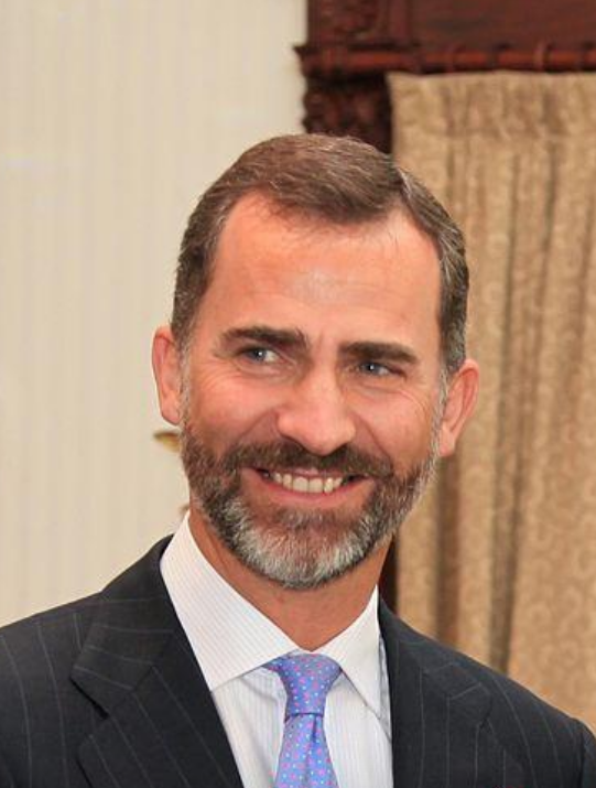 因坐看"玻利瓦尔剑",西班牙国王费利佩六世遭批|费利佩六世_新浪财经