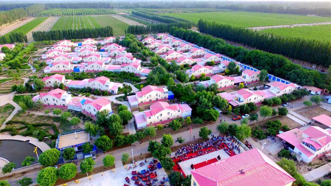 生产建设兵团开创维稳戍边新局面|棉花_新浪财经_新浪网