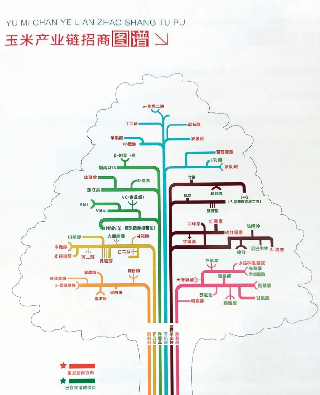 黑龙江省绥化市玉米产业链招商图谱 绥化市委宣传部供图