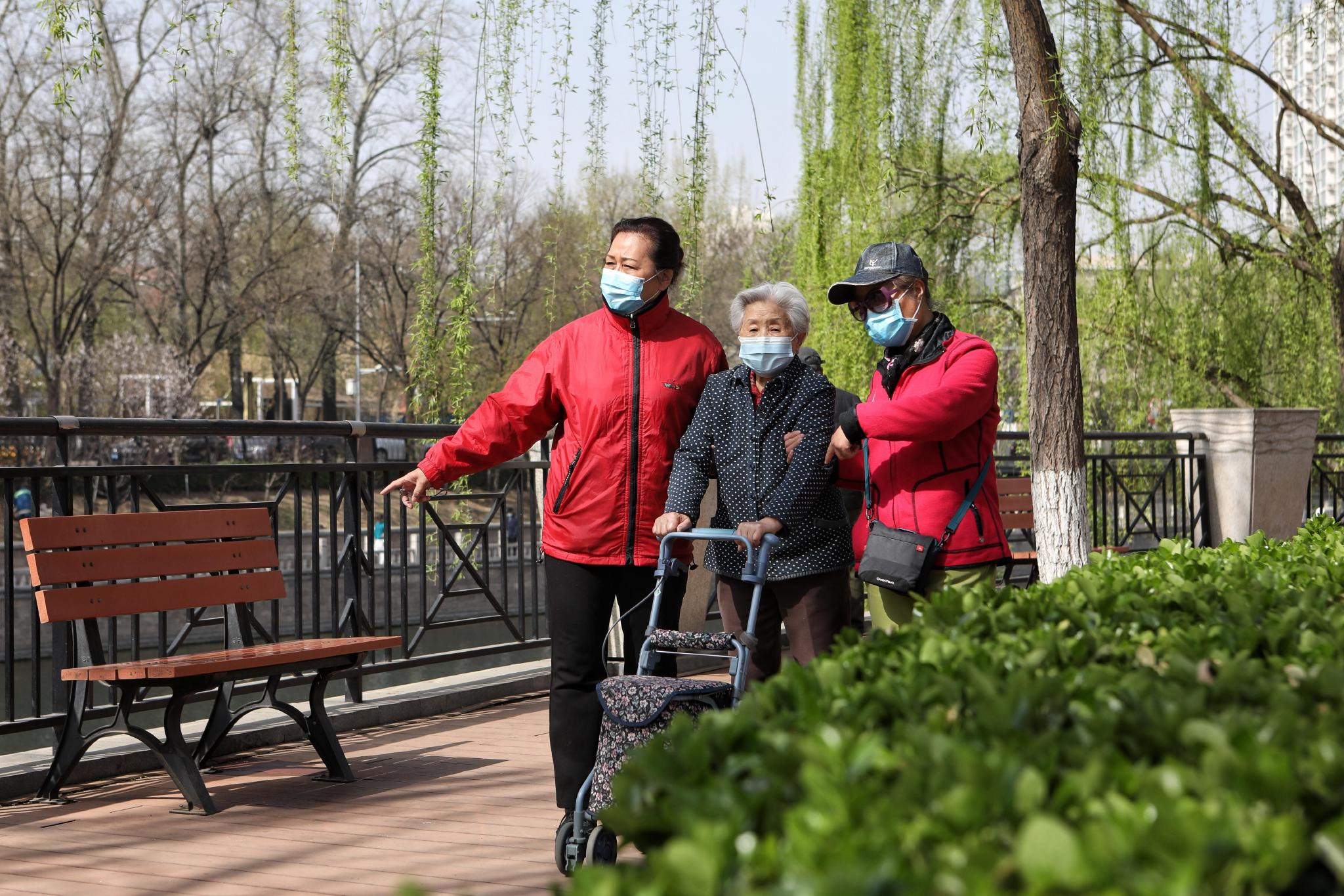 2021年3月31日,北京西护城河边,助老志愿者带独居老人"遛弯儿".
