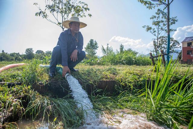 浙江多方位保障农业生产|新华社_新浪财经_新浪网