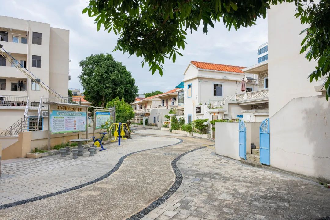 张映竹图/珠海发布 陈佳哲部分图片由桂山镇政府提供手绘/珠海发布 钟