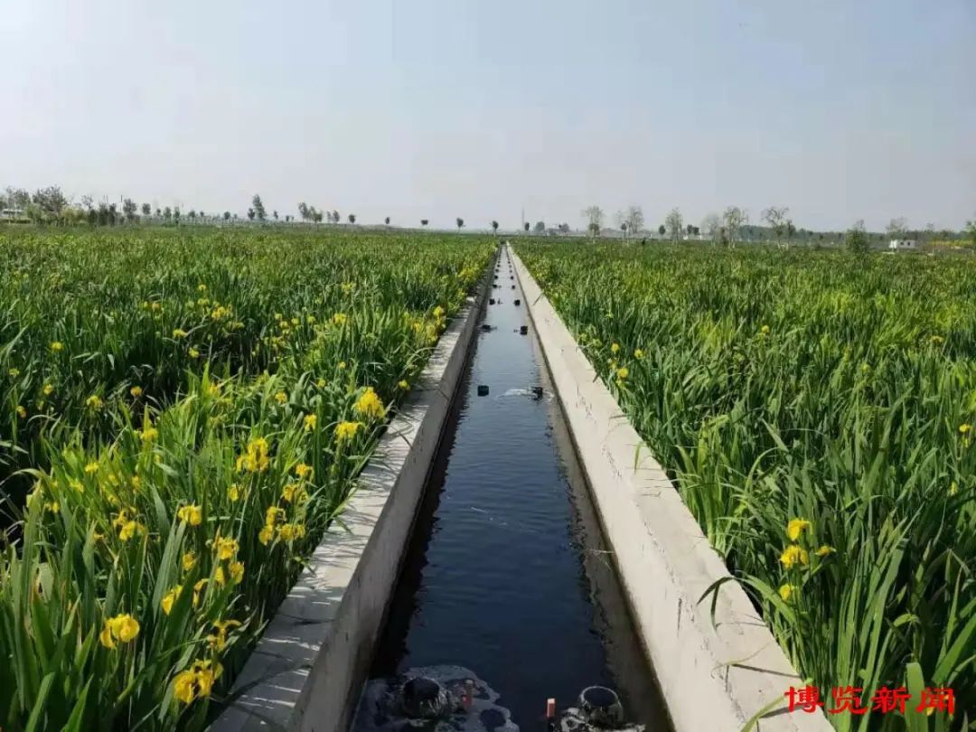 农业废水处理