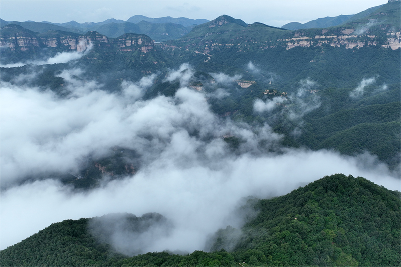 这是8月14日在河北省邢台市天河山景区拍摄的云海景观(无人机照片).