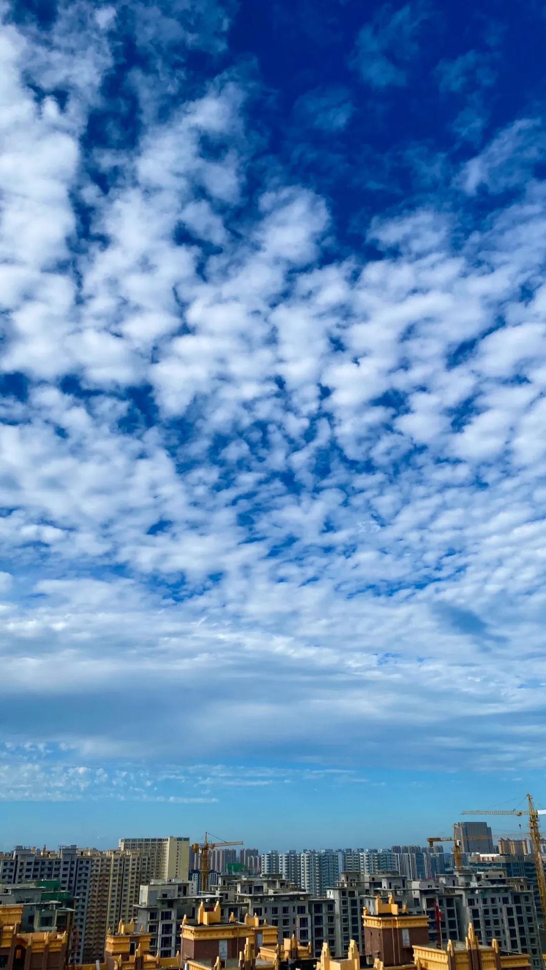 今儿石家庄天空的饱和度拉满了……|石家庄市_新浪财经_新浪网