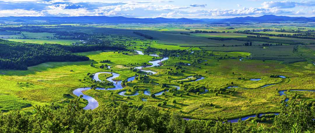 黑龙江鹤岗市:做好湿地文章 打造生态和谐宜居城|黑龙江省_新浪财经_