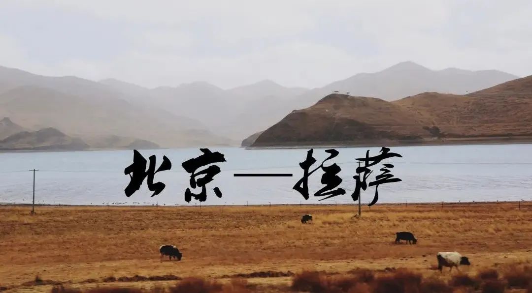 她和顾连长去年夏天举办了婚礼.