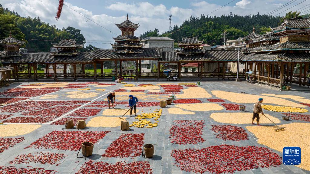 8月14日,贵州省黔东南苗族侗族自治州锦屏县大同乡秀洞村村民在晾晒农