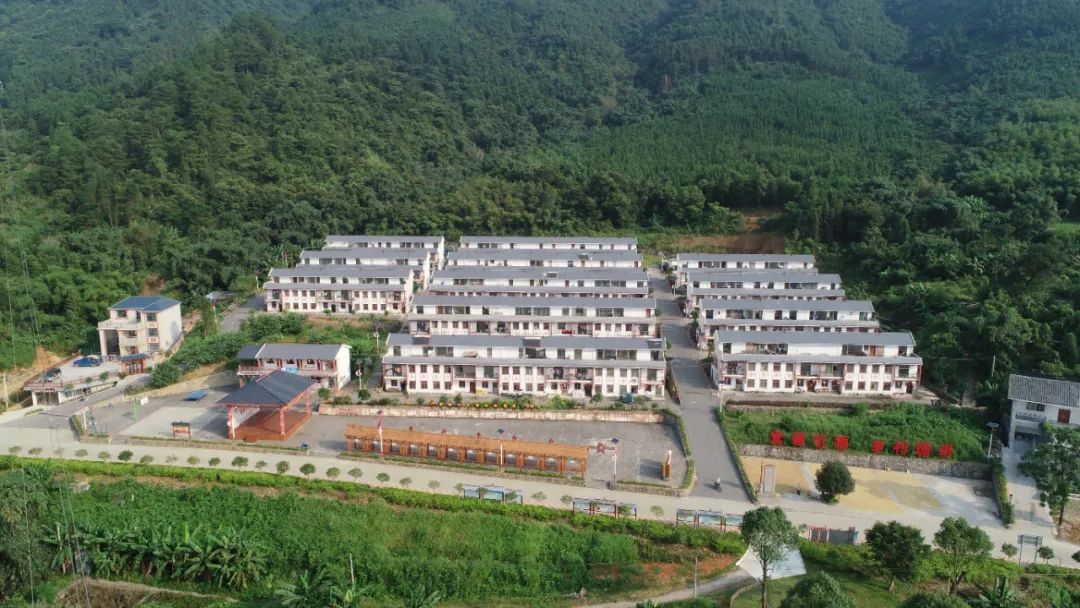 东坪镇雕子塘新村.