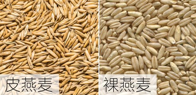 燕麦可分为皮燕麦和裸燕麦.进口燕麦多为皮燕麦,裸燕麦又称"莜麦".