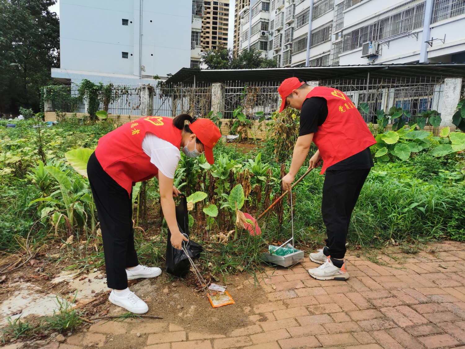 志愿者们在清扫草丛垃圾(陈秋遐摄)
