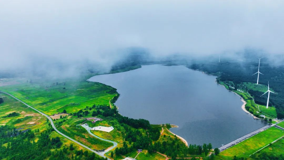 生态文学作家走进辽宁彰武,感悟70年永不退缩的坚守|彰武治沙_新浪