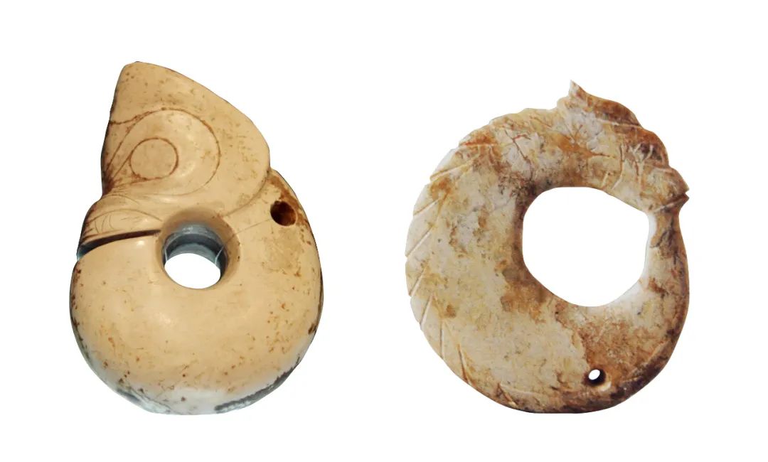 (右)安徽含山县凌家滩遗址出土的玉龙.图/中新