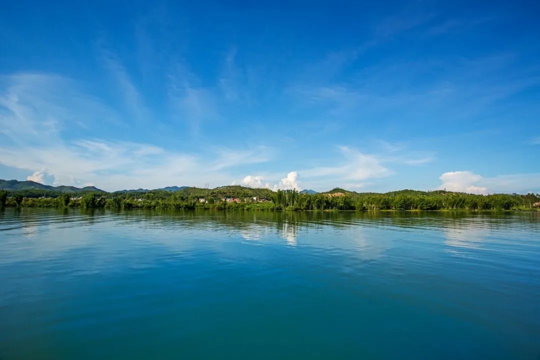 带你"云游"东江画廊乡村振兴示范带|乡村振兴_新浪财经_新浪网