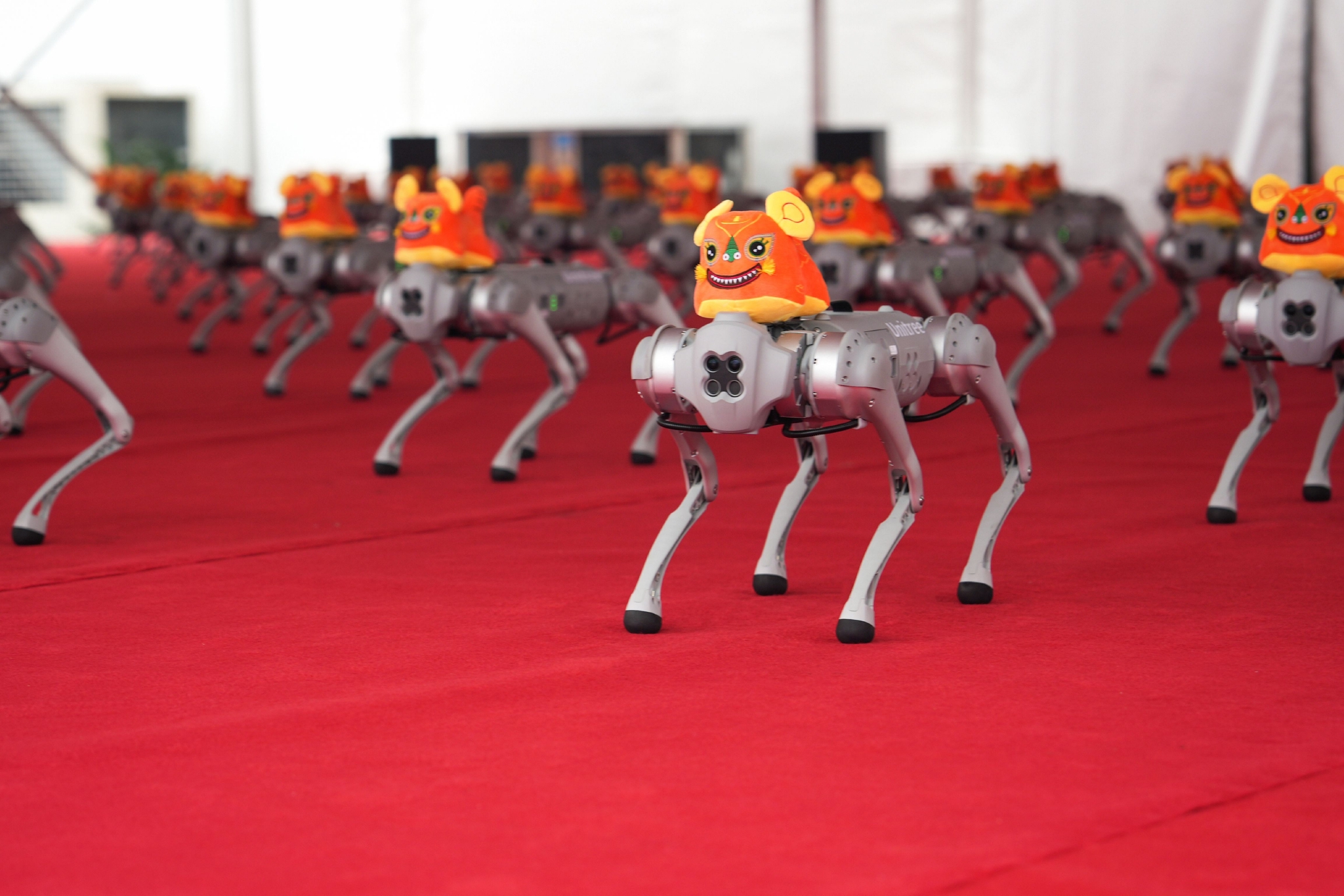 机器狗正在进行集体舞蹈表演。受访者供图
