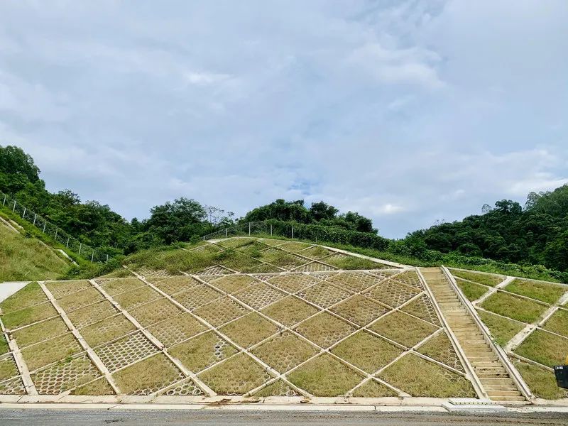 11米,路堤边坡最大高度5.81米,路基中心最大挖深8.