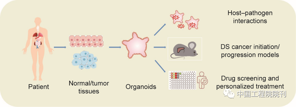 pdo判断数据库中某条数据是否存在