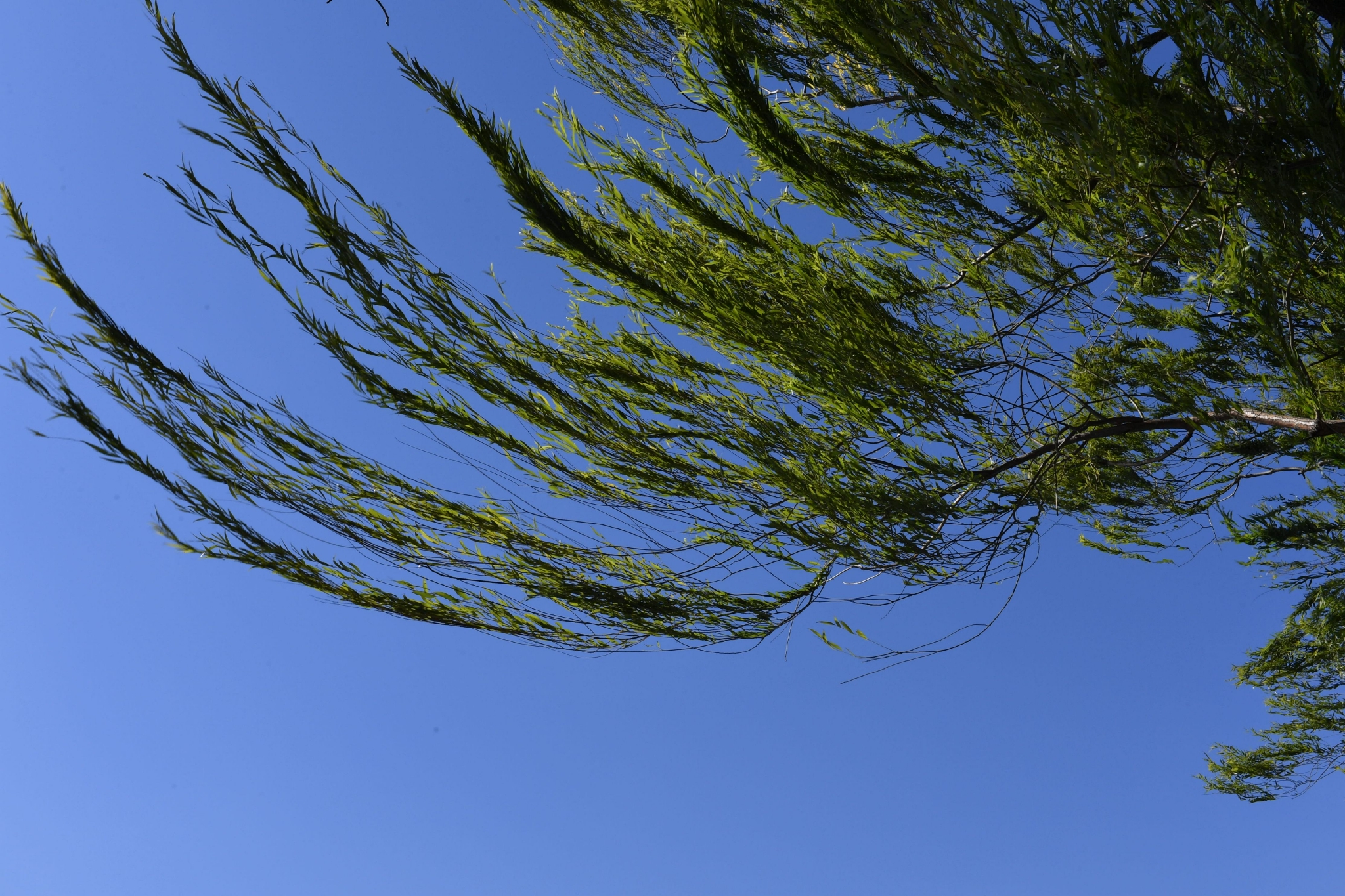 北京发布大风蓝色预警,阵风可达六七级|大风_新浪财经_新浪网