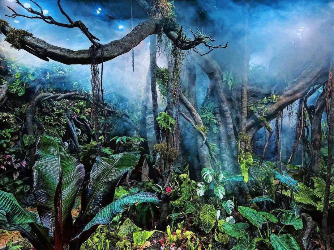  室内热带雨林景观