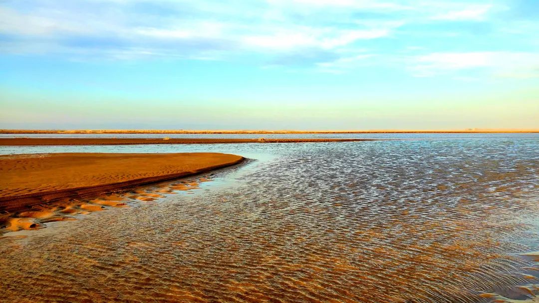 黄河郑州段刘沟滩涂掠影 | 大美中国·i自然|黄河_新浪财经_新浪网