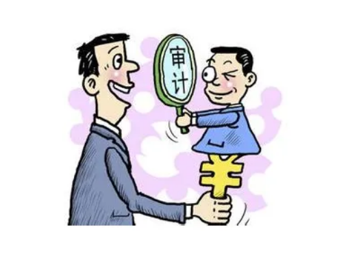 审计项目项目名称