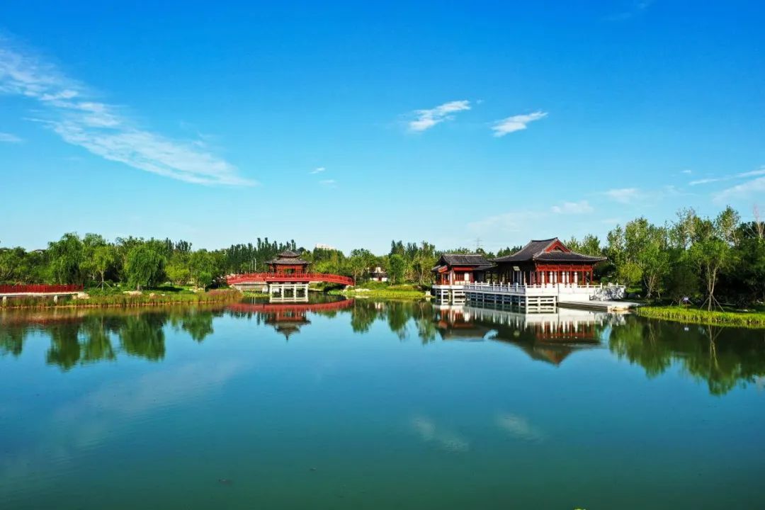 这么近那么美周末请到雄安来打卡丨雄安悦容公园美如画