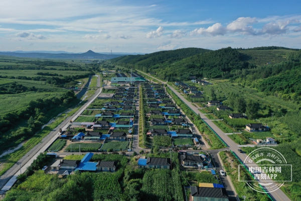 初秋的龙井市东盛涌镇勇成村,一排排造型统一的朝鲜族民居掩映在绿树