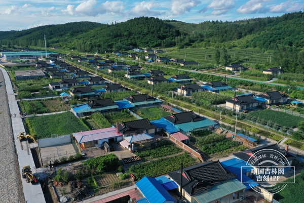 初秋的龙井市东盛涌镇勇成村,一排排造型统一的朝鲜族民居掩映在绿树