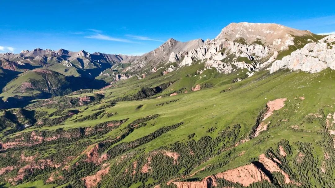 山河行这里的照片轻易看不到