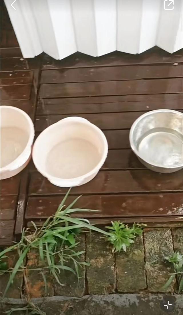 朱婷婷用来接雨水的盆/图:受访者视频截图