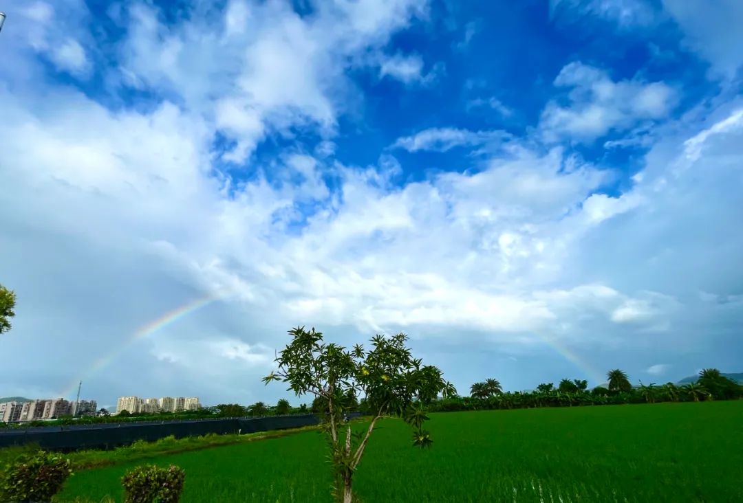 台风"马鞍"或将正面袭击广东,防风iv级应急响应已启动!谨防暴雨!|台风