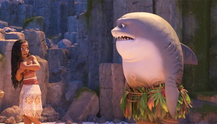 9742波肖门尾彩色印刷