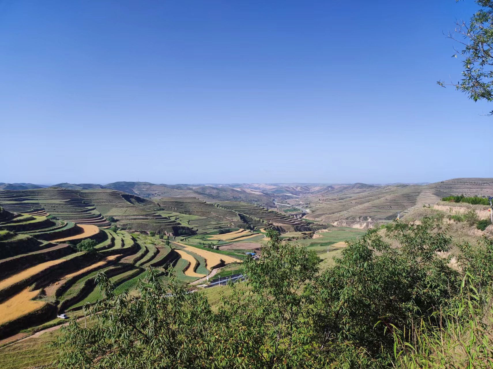 宁夏西吉:推动农业社会化服务高质量发展