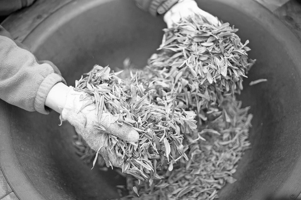 炒制茶叶 浮梁县文化广电新闻出版旅游局 供图