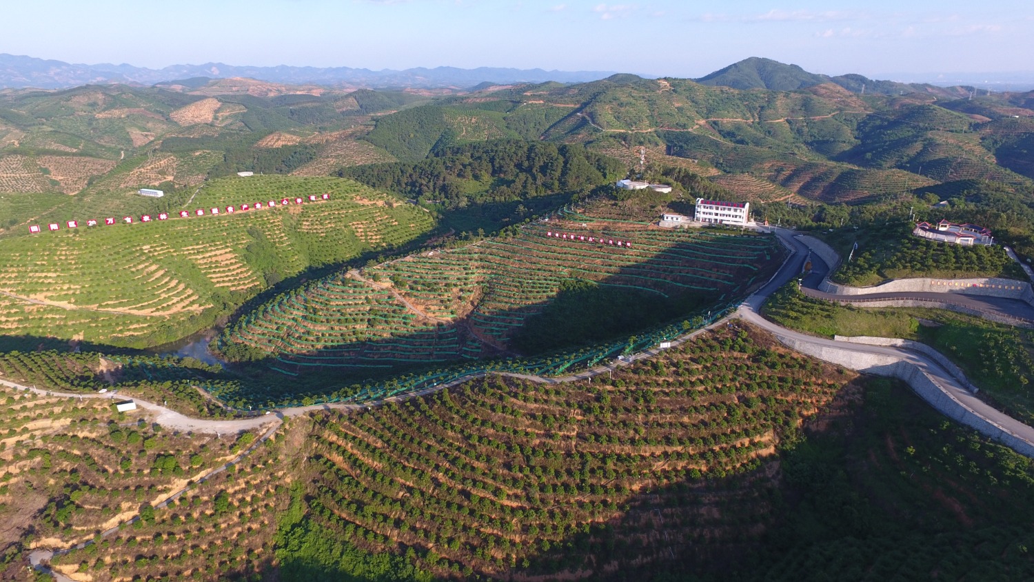 广西田阳扎实做好易地扶贫搬迁后续扶持工作