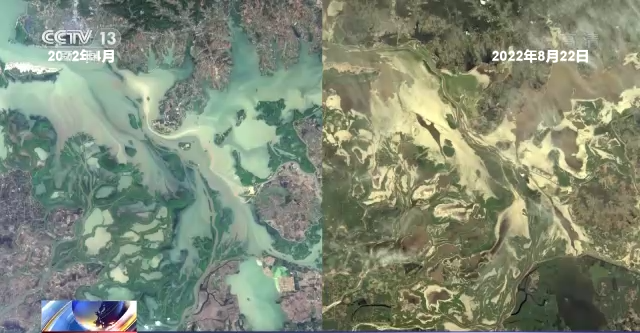 鄱阳湖水体萎缩至不到600平方公里 水利部门采取这些措施缓解旱情影响|抗旱|面积|湖区|自然资源|水库_手机新浪网