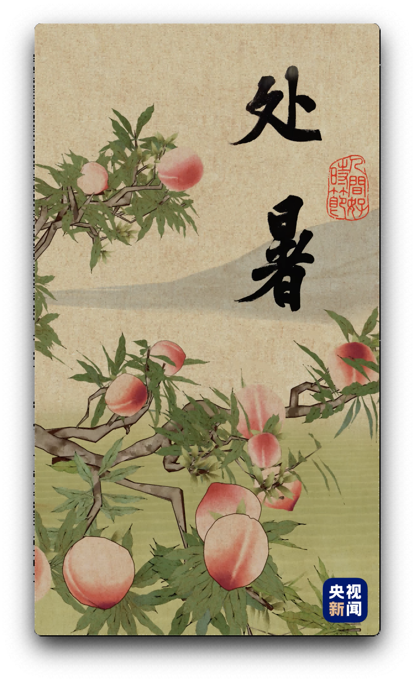 人间好时节丨处暑