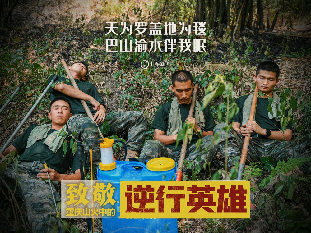 致敬重庆山火中的逆行英雄 | 挺身而出真英雄 ,点滴汇聚成江河|重庆市